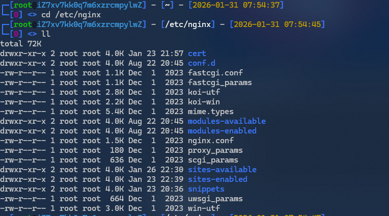 image-20260131195508538