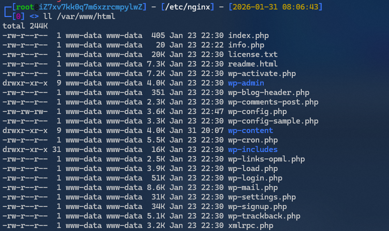 image-20260131201126235